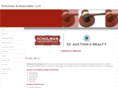 dschulmanassociates.com