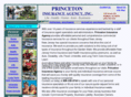 insuranceprinceton.com