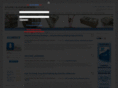 internet-business-review.net