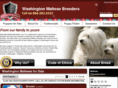 washingtonmaltesebreeders.com