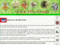 wuwu1740.com
