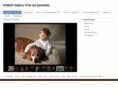 deneffgallery.com