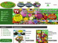 gardeninnovations.net