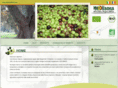 oliomolisena.com