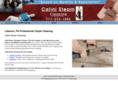 calinisteamcleaning.com