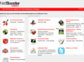 netbooster-deutschland.de