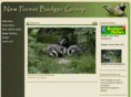 newforest-badgers.org