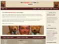 achim-vetter.com