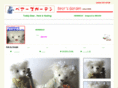 bearsgarden.com