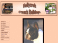 hollycroft.net