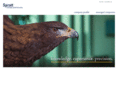 sprottconsulting.com