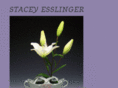 staceyesslinger.com