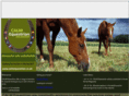 calmequestrian.com