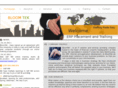 bloominfotek.com