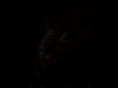 postosecullus.com.br