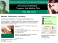 pregnantwanthelptn.com