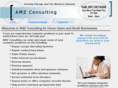 amzconsulting.com