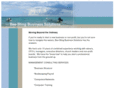 beestingtech.com