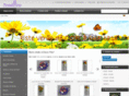doceflor.com