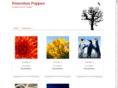 rosenhus.com