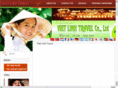 vietlinhtravel.com