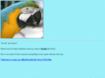 scottytheparrot.com