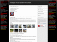 todaysflush.com