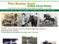 burleystud.com