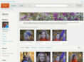 willowoftroy.com