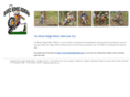 boiseridgeriders.com