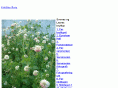 kristvi.com