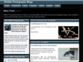 wildlifephotographyblog.com