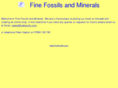 finefossils.co.uk
