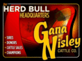 gananisley.com