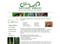 natimg.com