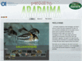 projetoarapaima.com