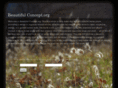 beautifulconcept.org