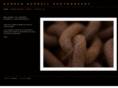 darrenburrellphotography.com