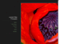 larandaphillips.com
