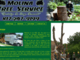 molinatreeservice.com