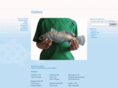 projectfishnet.org