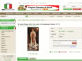 saintjuandiego.com