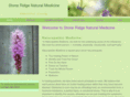 stoneridgenaturalmedicine.com
