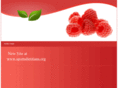 collegesportsdietitians.com