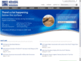 esisensors.com