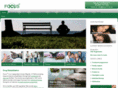focus12.co.uk