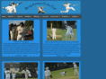 surreylankians.com