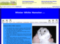 winterwhitehamster.com