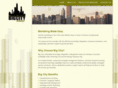 bigcitytools.com
