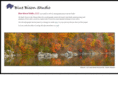 bluebisonstudio.com